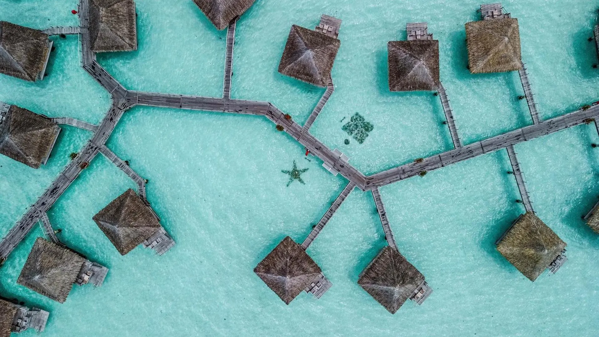 Intercontinental Bora Bora Le Moana Resort By Ihg